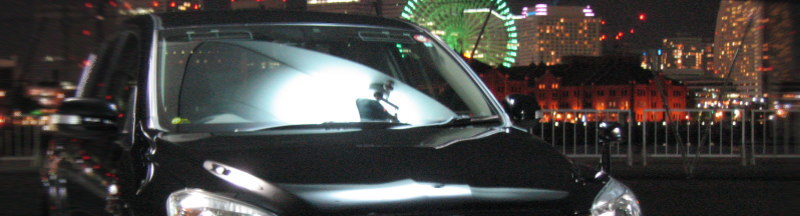 ACA31W RAV4 SPORT  Top Bunner